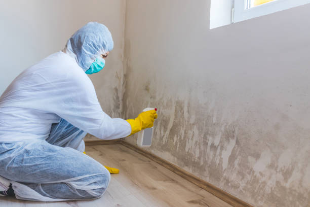 Hvac And Air Duct Mold Remediation inspection of HVAC system in Westminster