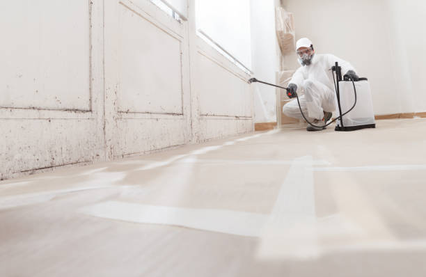 Black mold remediation team in Westminster
